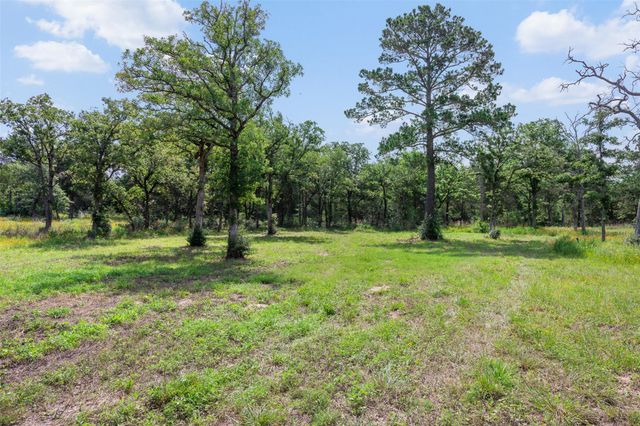 305 Cistern RD, Rosanky, TX 78953