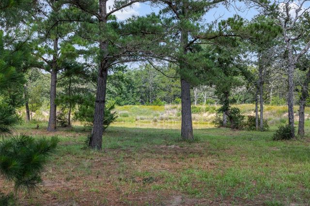 305 Cistern RD, Rosanky, TX 78953