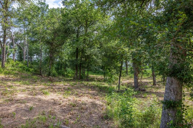 305 Cistern RD, Rosanky, TX 78953
