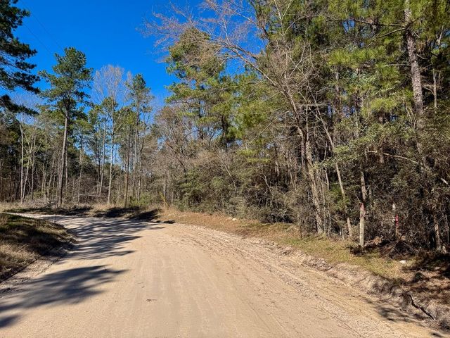 2 Boontown Road, Trinity, TX 75845