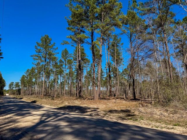 2 Boontown Road, Trinity, TX 75845