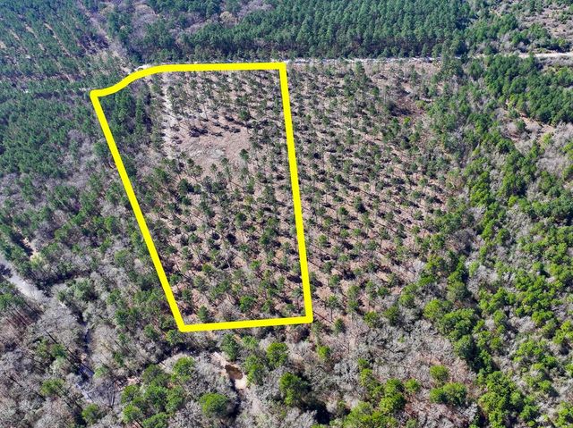 2 Boontown Road, Trinity, TX 75845