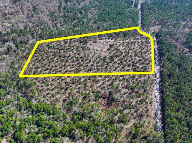 2 Boontown Road, Trinity, TX 75845