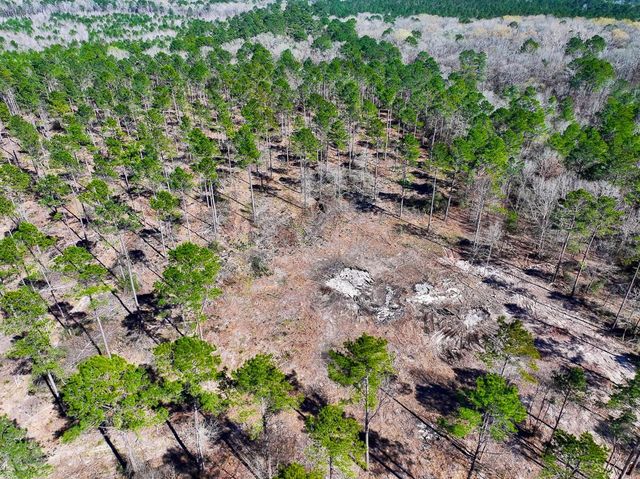 2 Boontown Road, Trinity, TX 75845