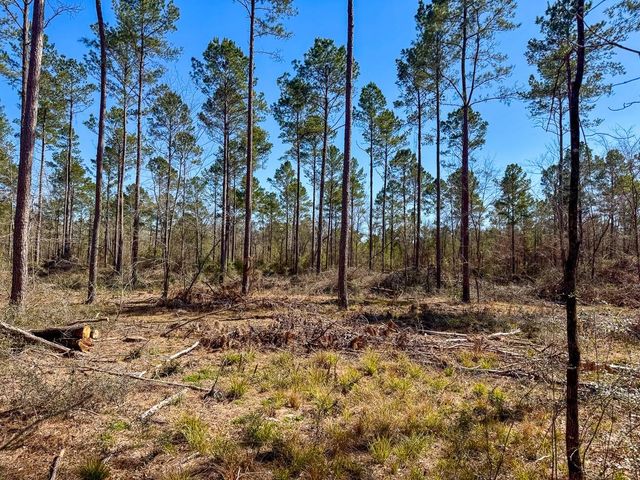 2 Boontown Road, Trinity, TX 75845