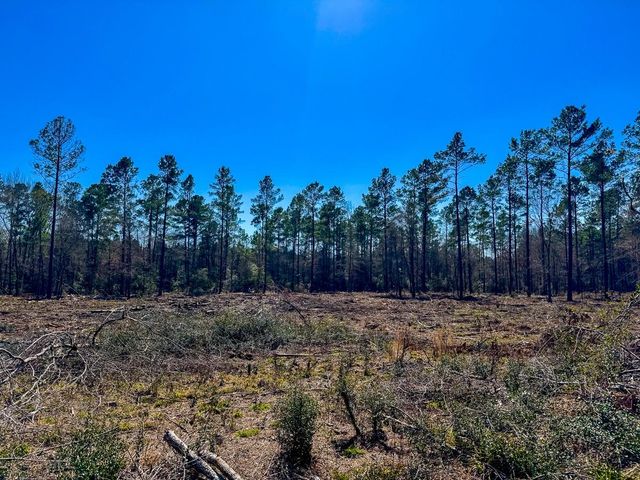 2 Boontown Road, Trinity, TX 75845