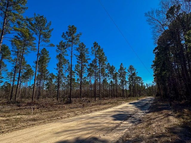 2 Boontown Road, Trinity, TX 75845