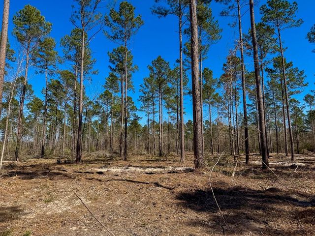 2 Boontown Road, Trinity, TX 75845