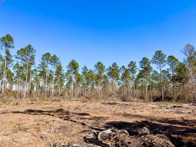 2 Boontown Road, Trinity, TX 75845