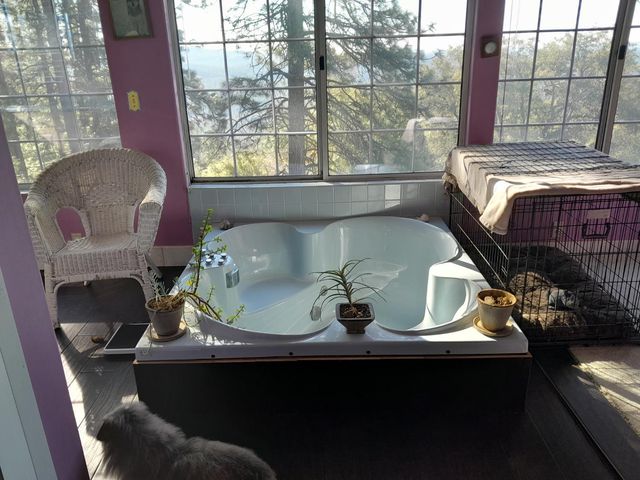 1975 Ridgecrest Way, West Point, CA 95255