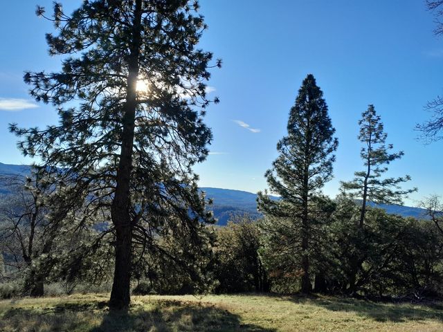 1975 Ridgecrest Way, West Point, CA 95255