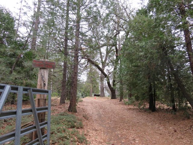 1975 Ridgecrest Way, West Point, CA 95255