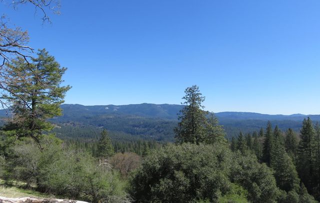 1975 Ridgecrest Way, West Point, CA 95255