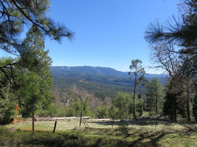 1975 Ridgecrest Way, West Point, CA 95255