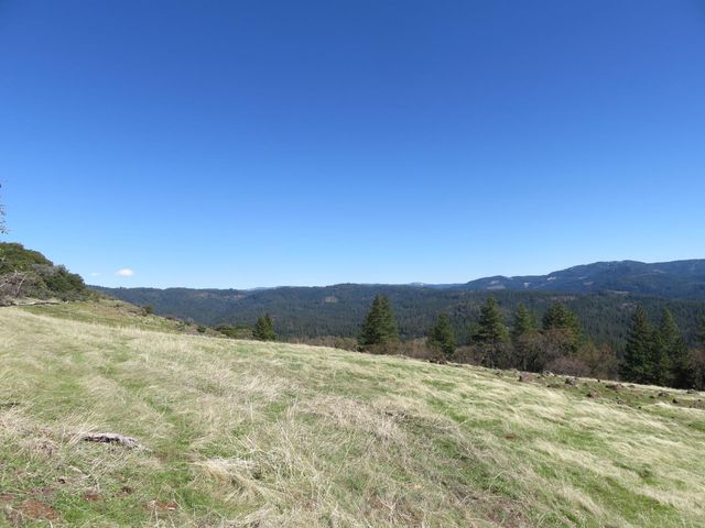 1975 Ridgecrest Way, West Point, CA 95255