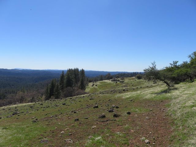 1975 Ridgecrest Way, West Point, CA 95255