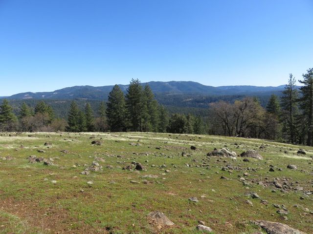 1975 Ridgecrest Way, West Point, CA 95255