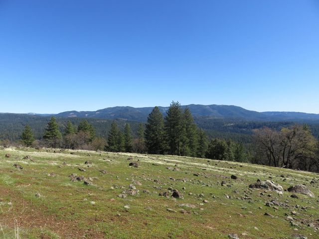 1975 Ridgecrest Way, West Point, CA 95255