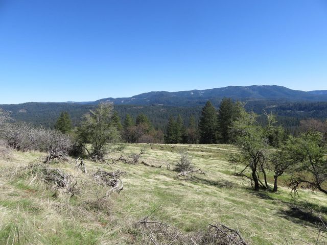 1975 Ridgecrest Way, West Point, CA 95255