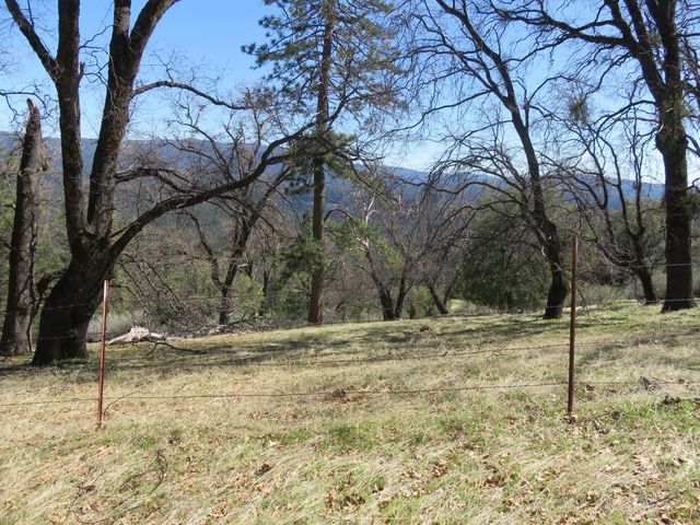 1975 Ridgecrest Way, West Point, CA 95255