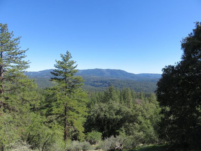 1975 Ridgecrest Way, West Point, CA 95255