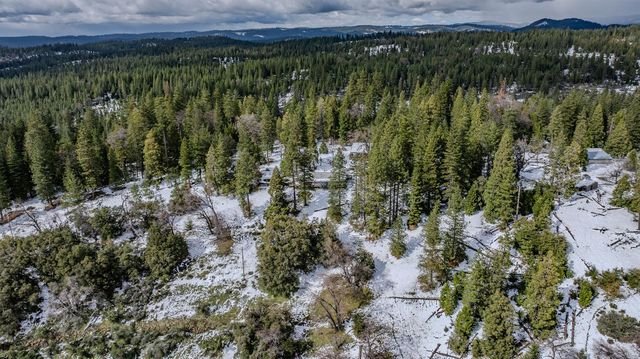 1975 Ridgecrest Way, West Point, CA 95255