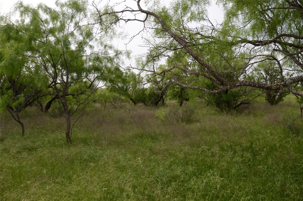 TBD CR 112, Clyde, TX 79504