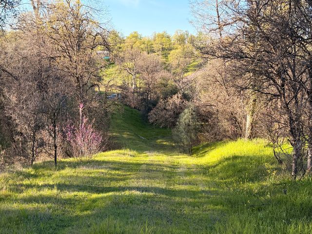 Olinda Road, Anderson, CA 96007