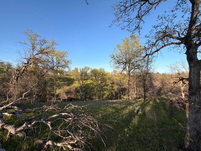 Olinda Road, Anderson, CA 96007