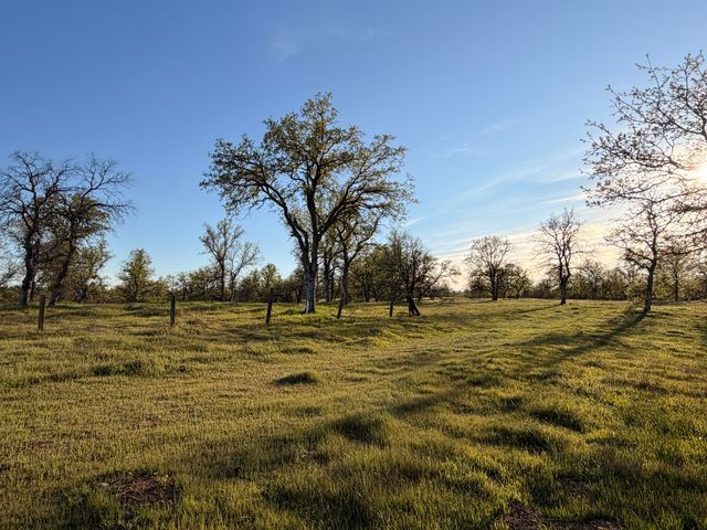 Olinda Road, Anderson, CA 96007