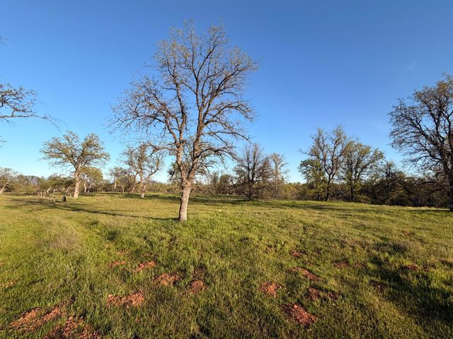 Olinda Road, Anderson, CA 96007