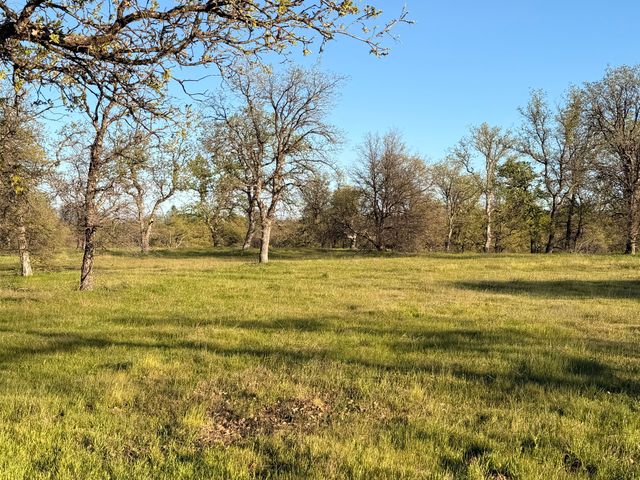 Olinda Road, Anderson, CA 96007