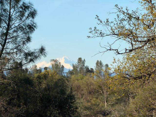 Olinda Road, Anderson, CA 96007