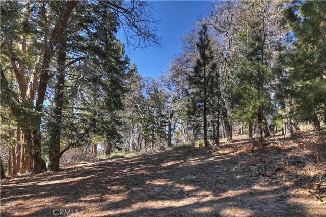 33874 Green Valley Lake Road, Green Valley Lake, CA 92341