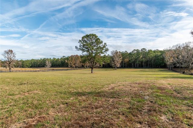 TBD HWY 329, Reddick, FL 32686