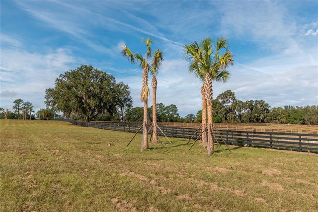 TBD HWY 329, Reddick, FL 32686