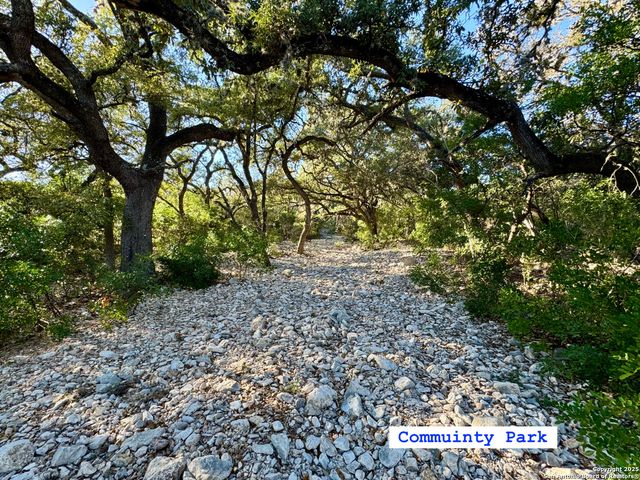 LOT 182 County Road 2816, Mico, TX 78056