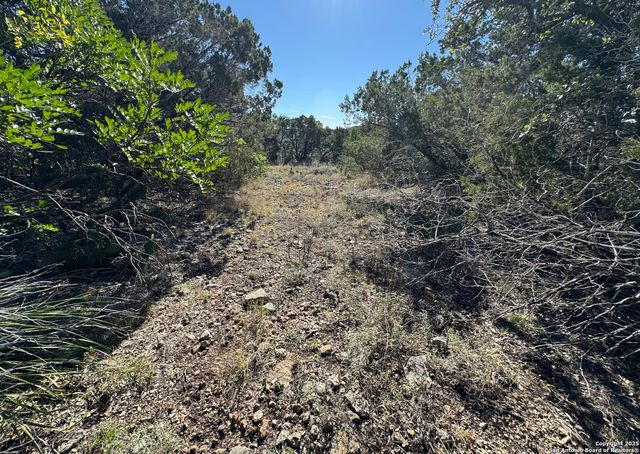 LOT 182 County Road 2816, Mico, TX 78056