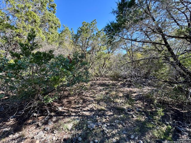 LOT 182 County Road 2816, Mico, TX 78056