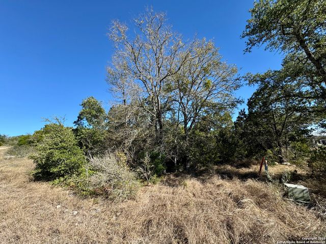 LOT 182 County Road 2816, Mico, TX 78056