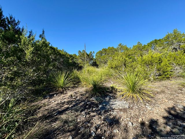 LOT 182 County Road 2816, Mico, TX 78056