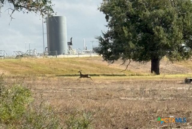 4689 County Road 302, Runge, TX 78151