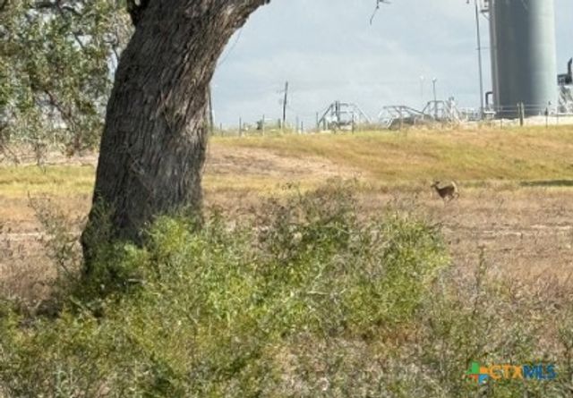 4689 County Road 302, Runge, TX 78151