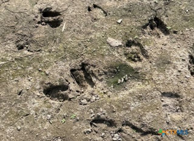 4689 County Road 302, Runge, TX 78151