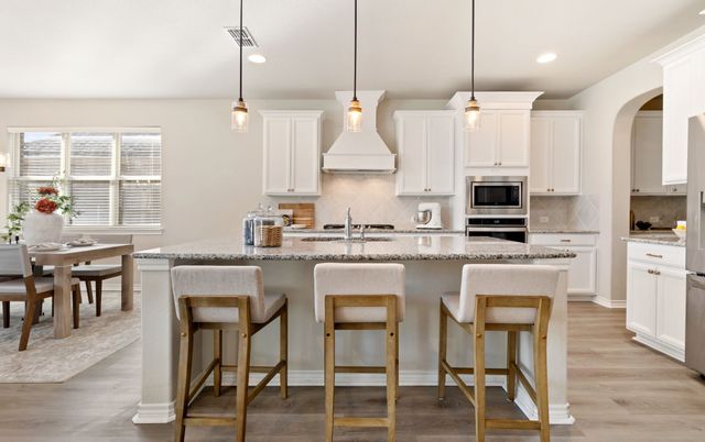 1105 Spanish Dove Drive, Little Elm, TX 75068