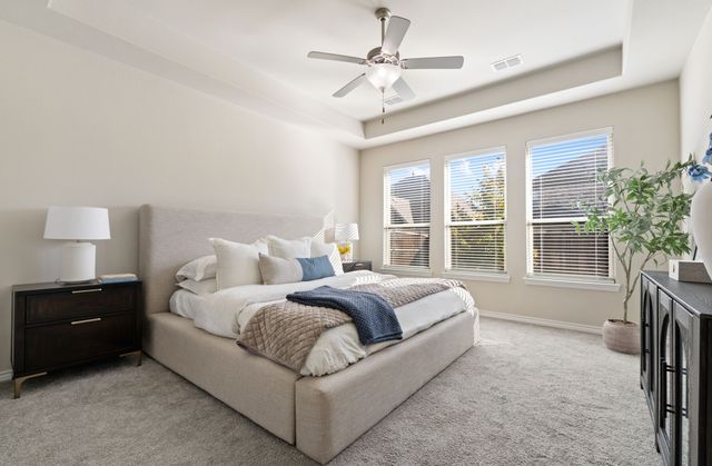 1105 Spanish Dove Drive, Little Elm, TX 75068