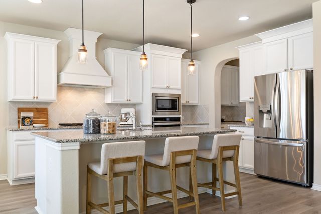 1105 Spanish Dove Drive, Little Elm, TX 75068