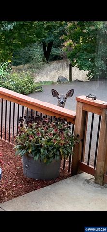 7235 Sarah Ln S, Salem, OR 97306