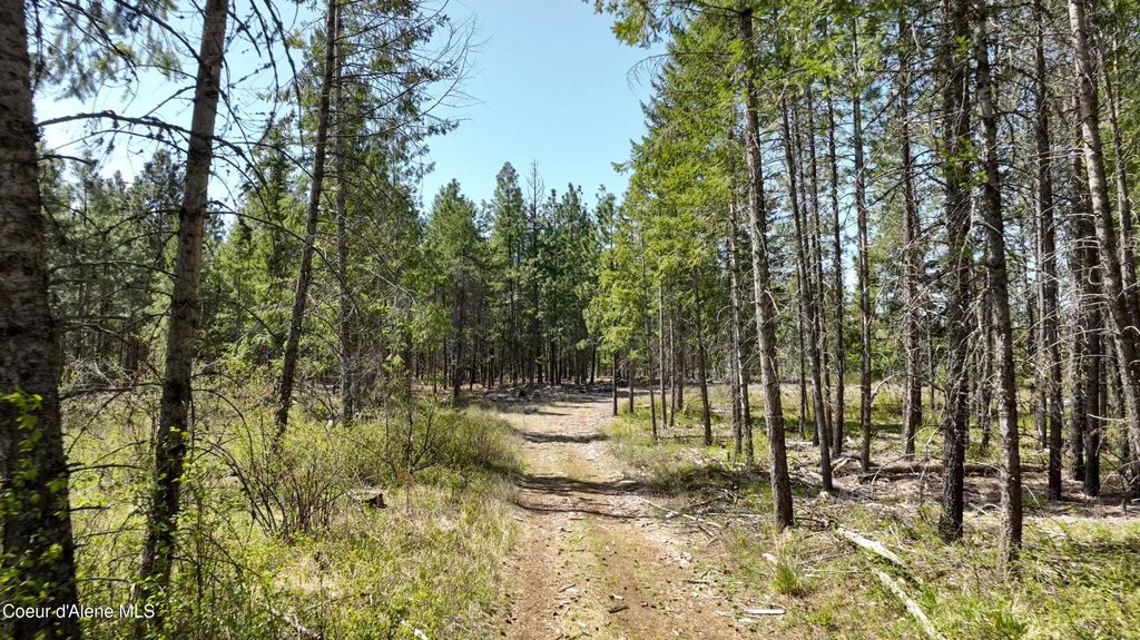 NKA E Rookery Rd, Hayden, ID 83835 photo 6