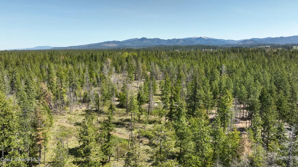 NKA E Rookery Rd, Hayden, ID 83835 photo 7